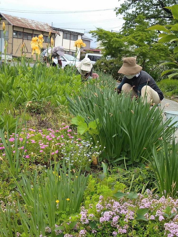 小道の花壇がととのいました 真宗大谷派 龍池山 願行寺